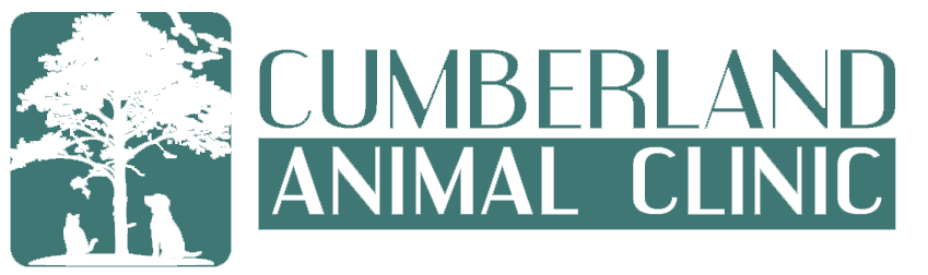 Cumberland Animal Clinic